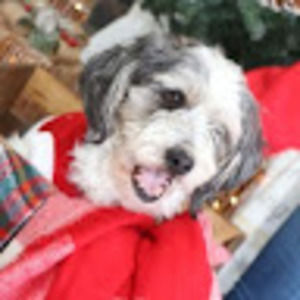 Meet your Posher, Chrisitna